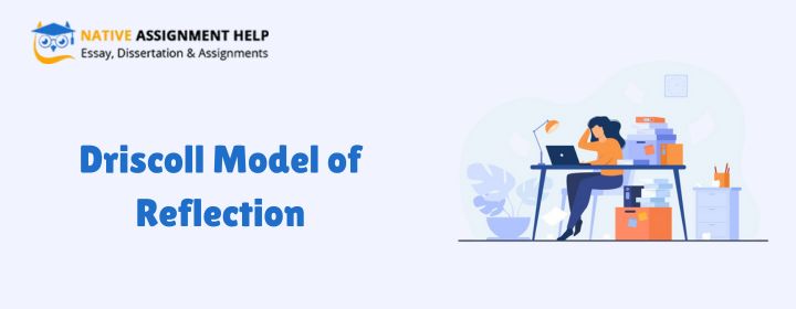 Driscoll Model of Reflection